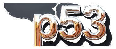 p53 logo